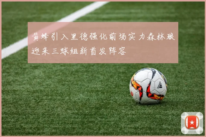 黄蜂引入里德强化前场实力森林狼迎来三球组新首发阵容