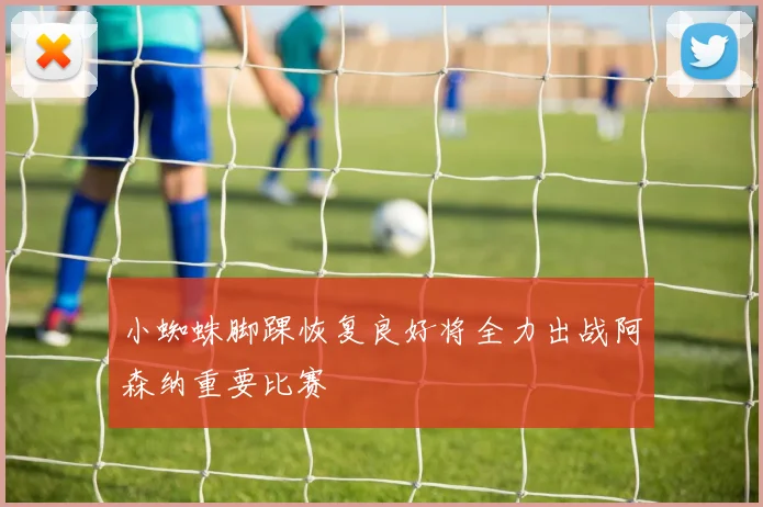 小蜘蛛脚踝恢复良好将全力出战阿森纳重要比赛